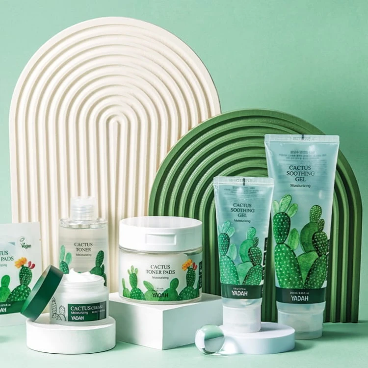 Yadah Cactus life.jpg