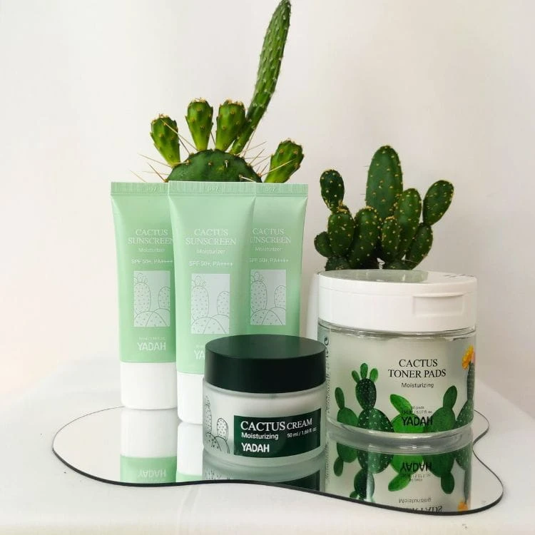 Yadah Cactus pads cream sunscreen.jpg
