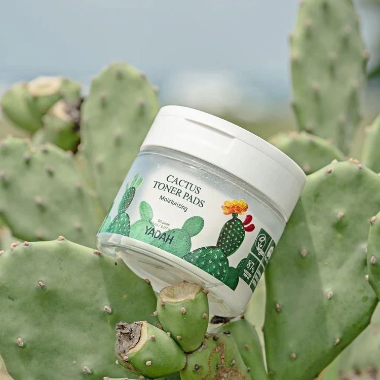 Yadah Cactus Toner Pads 1.jpg