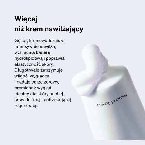 Beauty of Joseon Dynasty Cream 100ml 2.jpg