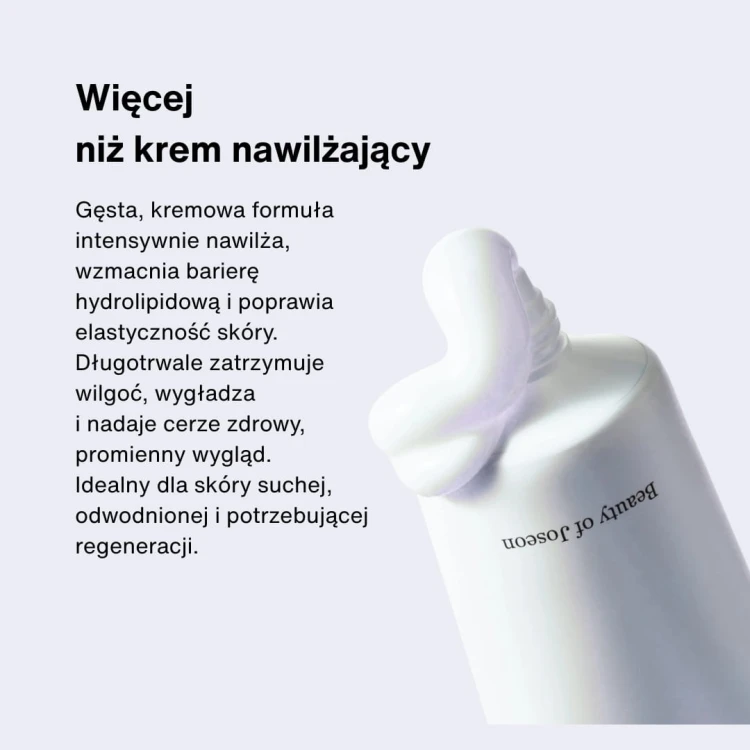 Beauty of Joseon Dynasty Cream 100ml 2.jpg