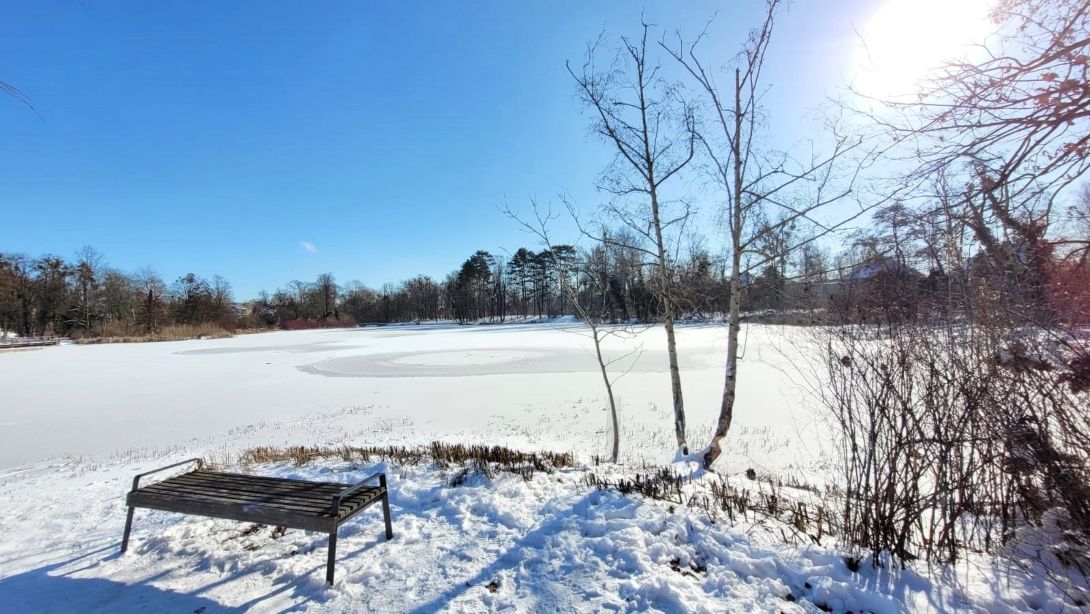 zima, park, zamarznięty staw