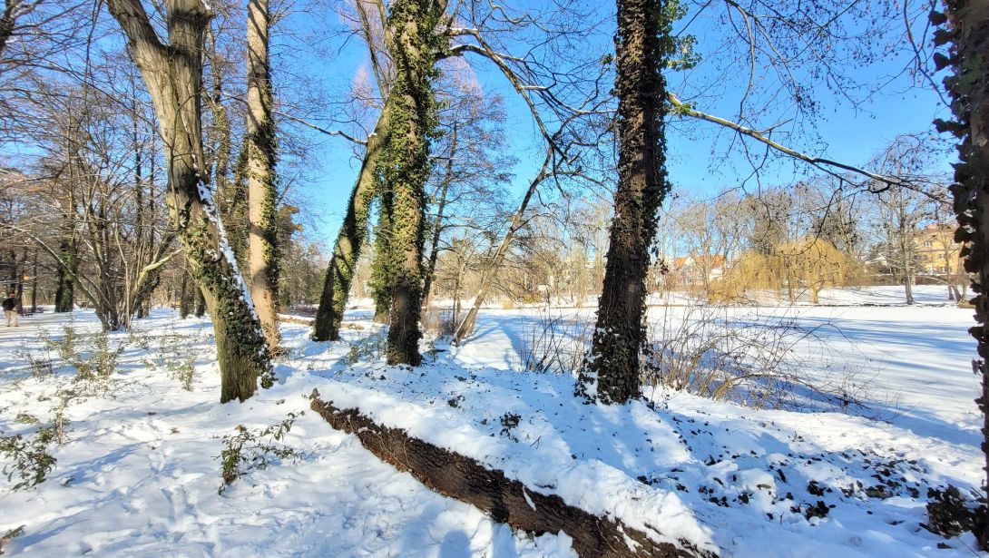 zimowy park, śnieg, pogodne niebo